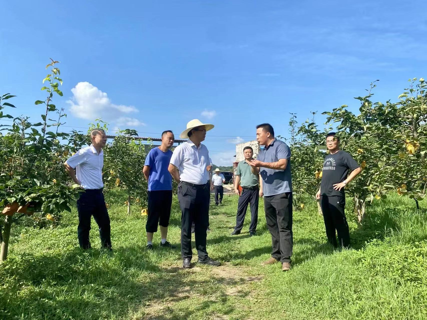 婁底市創(chuàng)發(fā)集團(tuán)到蓉峰村開展現(xiàn)場調(diào)研